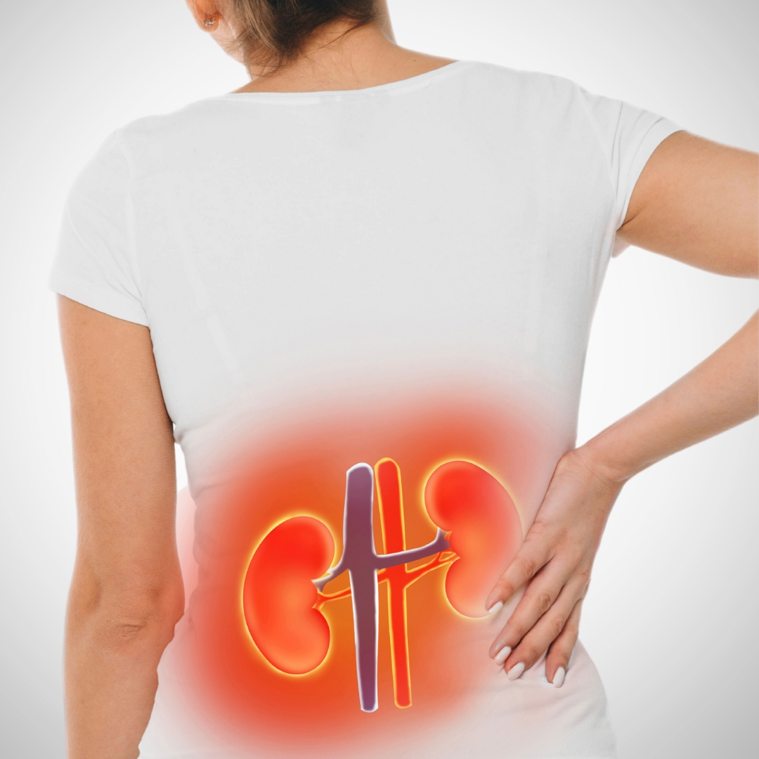 &nbsp;Urology & Nephrology Range